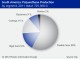 SOUTH AMERICAN POLYURETHANES